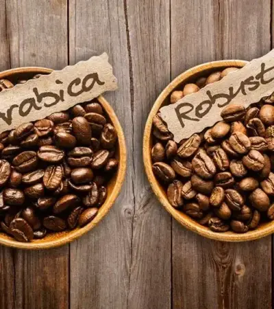 Mengapa Kopi Disebut Arabica dan Robusta