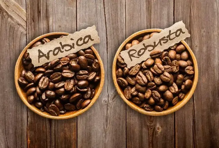 Mengapa Kopi Disebut Arabica dan Robusta