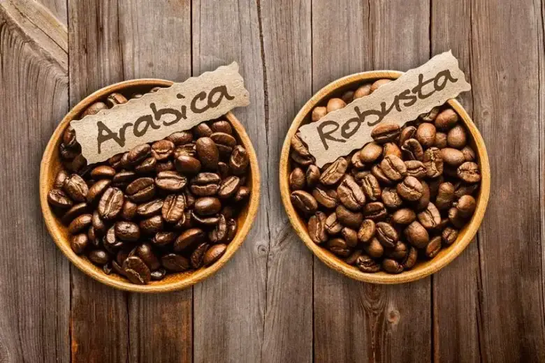 Mengapa Kopi Disebut Arabica dan Robusta