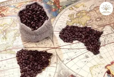 Sejarah Kopi