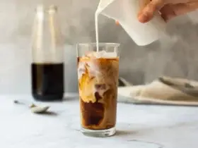 Biji Kopi Untuk Kopi Dingin, Mana Yang Terbaik