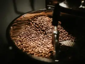 Cara Roasting Kopi