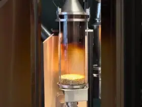 Hot Air Roasting Coffee