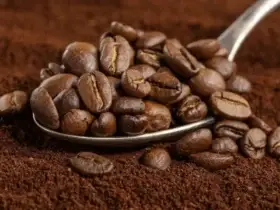 Kafein dan Metabolism, Keduanya Saling Mempengaruhi