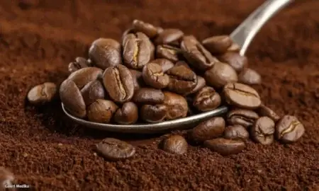 Kafein dan Metabolism, Keduanya Saling Mempengaruhi
